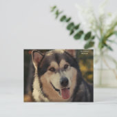 はがき (スタンド正面)