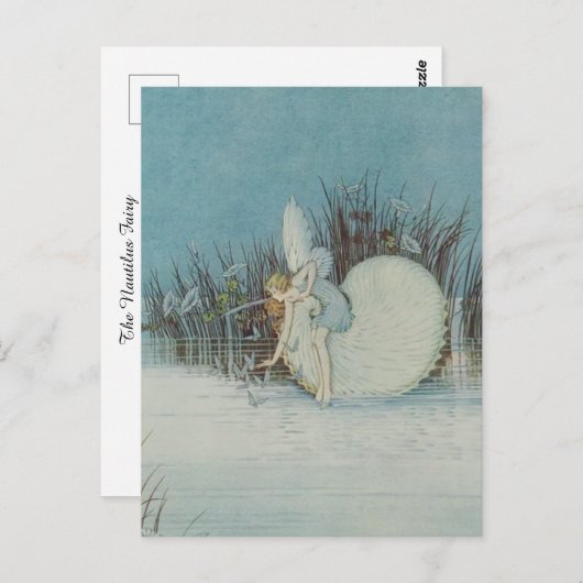 はがき (正面/裏面)