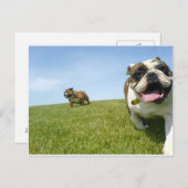 はがき (正面/裏面)