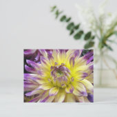 はがき (スタンド正面)