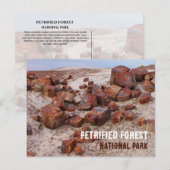 はがき (正面/裏面)