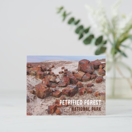 はがき (スタンド正面)