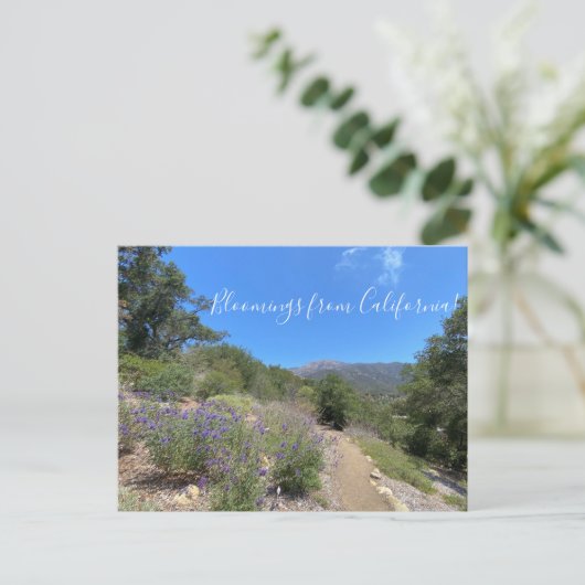 はがき (スタンド正面)