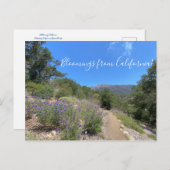 はがき (正面/裏面)