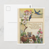 はがき (正面/裏面)