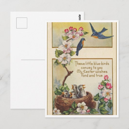 はがき (正面/裏面)