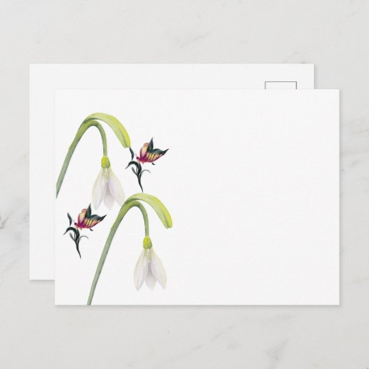 はがき (正面/裏面)