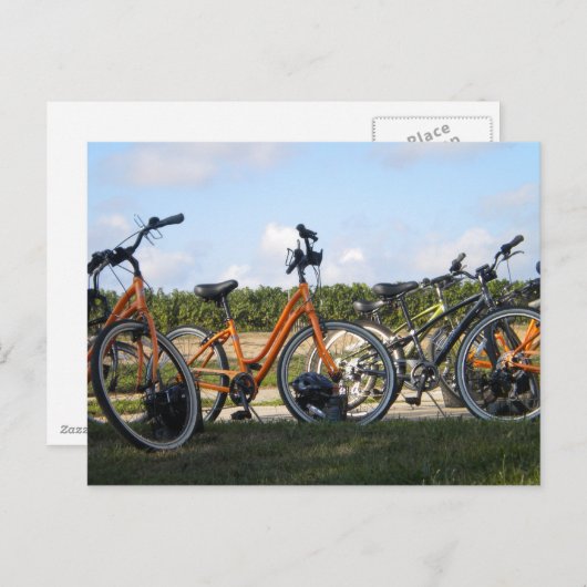 はがき (正面/裏面)