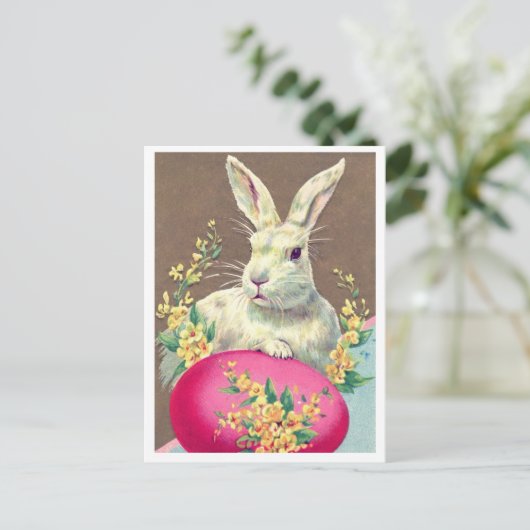 はがき (スタンド正面)