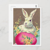 はがき (正面/裏面)