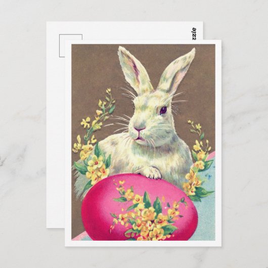 はがき (正面/裏面)