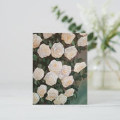 はがき (スタンド正面)