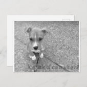 はがき (正面/裏面)