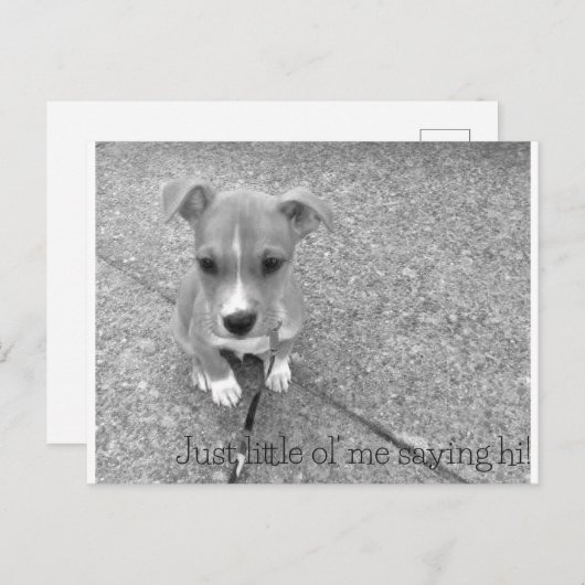 はがき (正面/裏面)