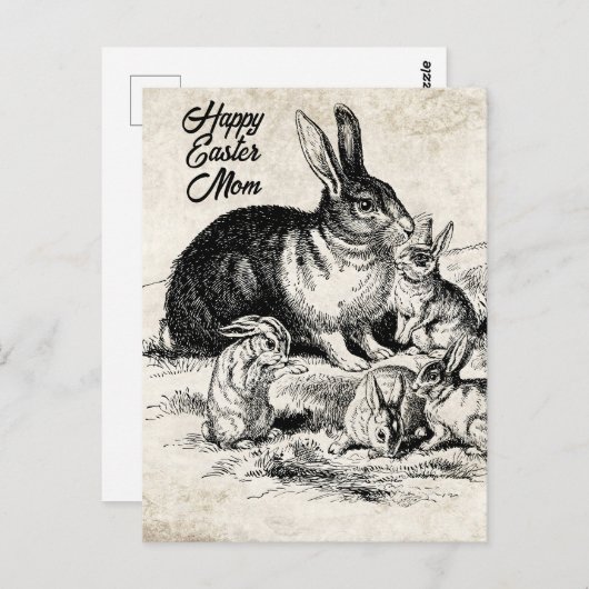 はがき (正面/裏面)