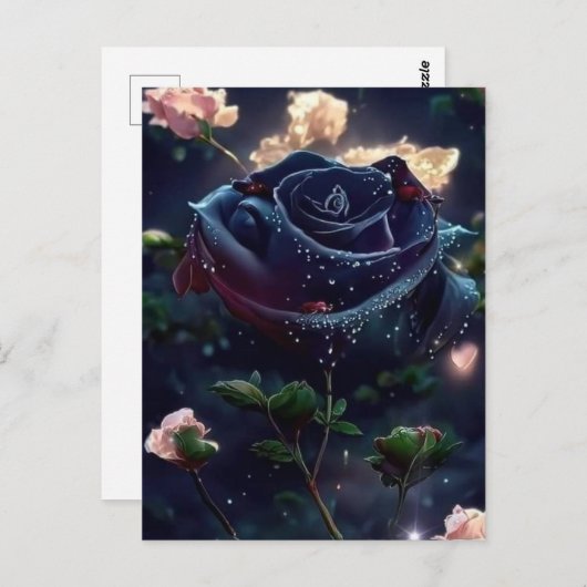 はがき (正面/裏面)