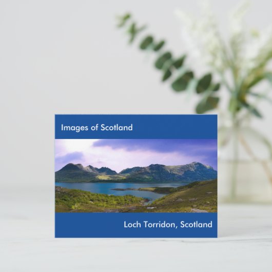 はがき (スタンド正面)