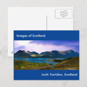 はがき (正面/裏面)