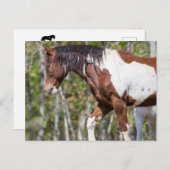 はがき (正面/裏面)