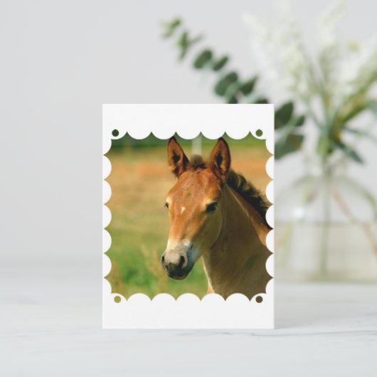 はがき (スタンド正面)