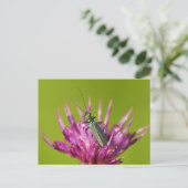 はがき (スタンド正面)