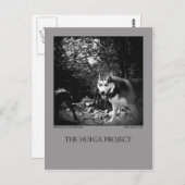 はがき10 ポストカード (正面/裏面)