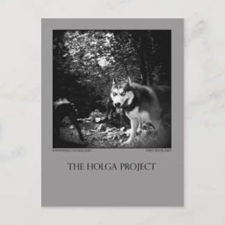 はがき10 ポストカード