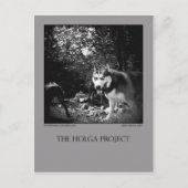 はがき10 ポストカード (正面)