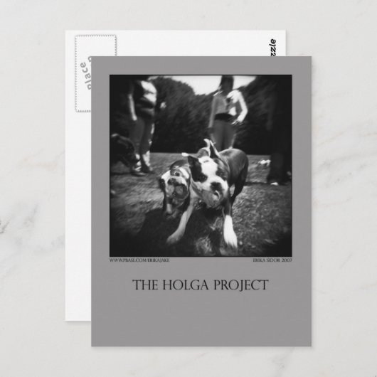 はがき3 ポストカード (正面/裏面)