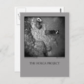 はがき4 ポストカード (正面/裏面)