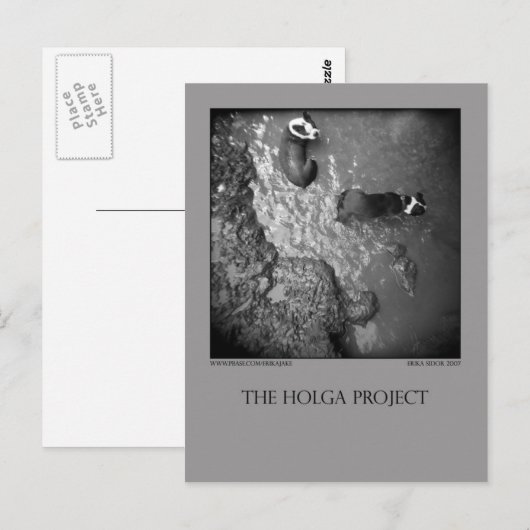 はがき4 ポストカード (正面/裏面)