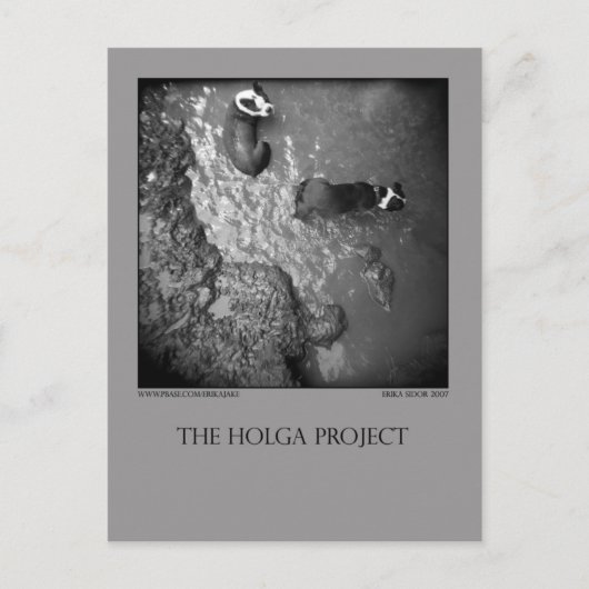 はがき4 ポストカード (正面)