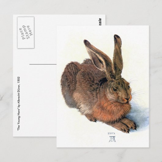 はがき:うさぎ ポストカード (正面/裏面)