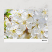 はがき(おはよう)  ポストカード (裏面)