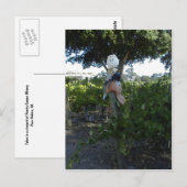 はがき、かかしアットピーチキャニオンワイナリー ポストカード (正面/裏面)