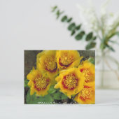 はがき/とげのある梨サボテン ポストカード (スタンド正面)