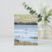 はがき – エグレット立誇りを持ったち (スタンド正面)