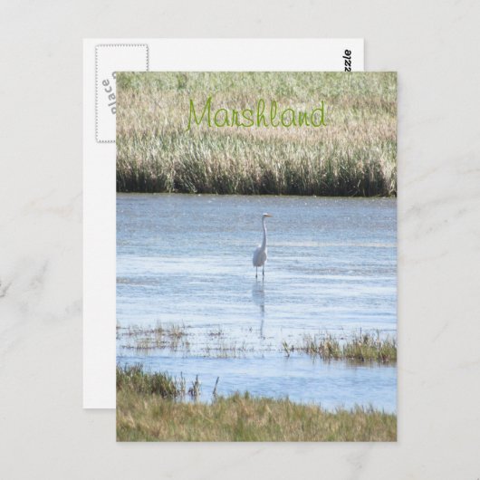 はがき – エグレット立誇りを持ったち (正面/裏面)