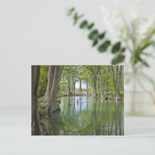 はがき – 「オアシス」 (スタンド正面)