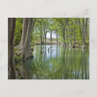 はがき – 「オアシス」