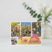 はがき（オーストラリア） シーズンポストカード (スタンド正面)