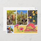 はがき（オーストラリア） シーズンポストカード (正面/裏面)