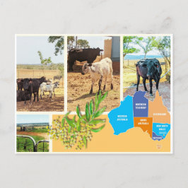 はがき（オーストラリア） シーズンポストカード