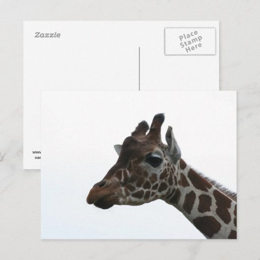 はがき：キリン ポストカード (正面/裏面)