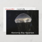 はがき:クリスタルゼリー ポストカード (正面/裏面)