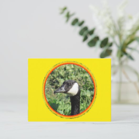 はがき – グースポートレート (スタンド正面)