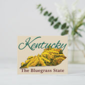 はがき – ケンタッキー (スタンド正面)