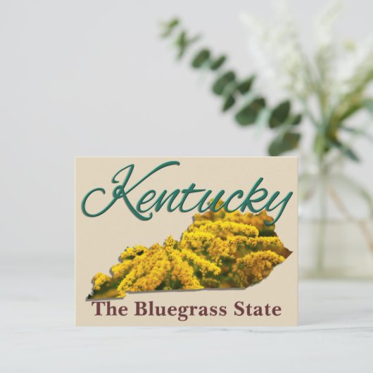 はがき – ケンタッキー (スタンド正面)