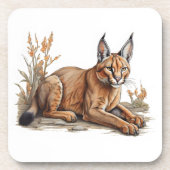 はがき コースター (正面)