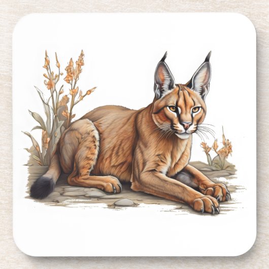 はがき コースター (正面)